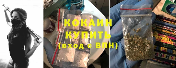 гидра Надым