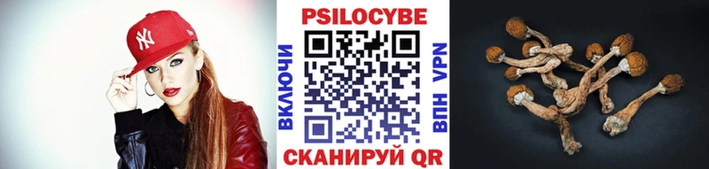 где купить   Среднеколымск  Галлюциногенные грибы GOLDEN TEACHER 